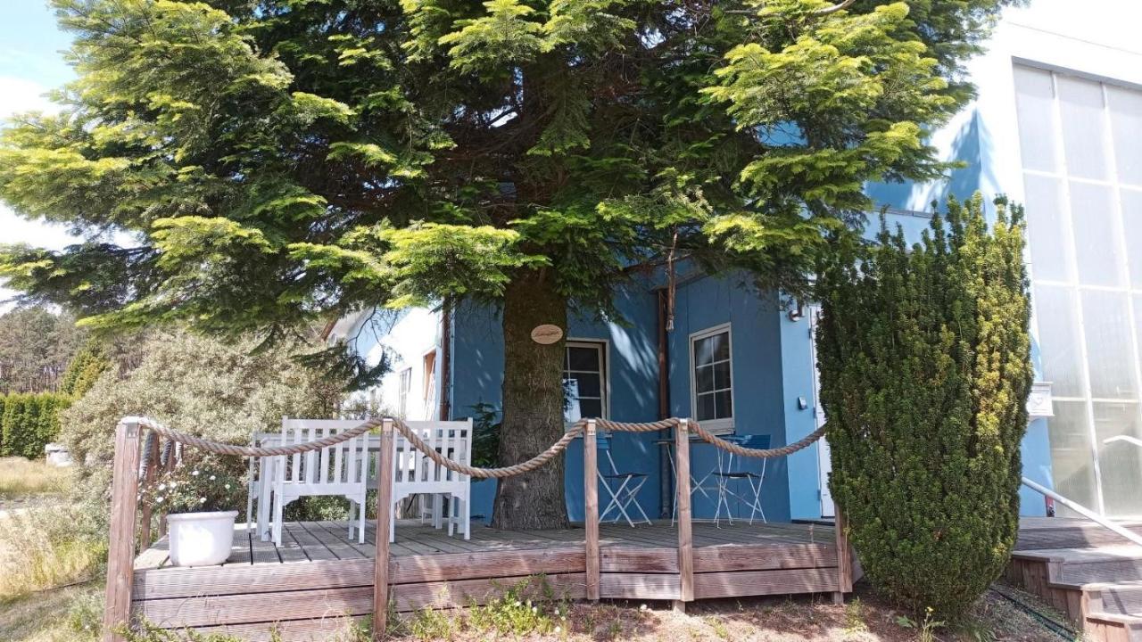 Ferienwohnung Naturparadies Gnitz Lutow Eksteriør bilde